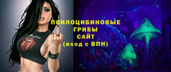 apvp Богородицк