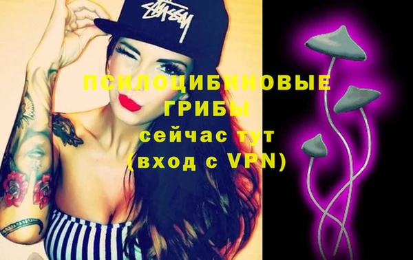 apvp Богородицк