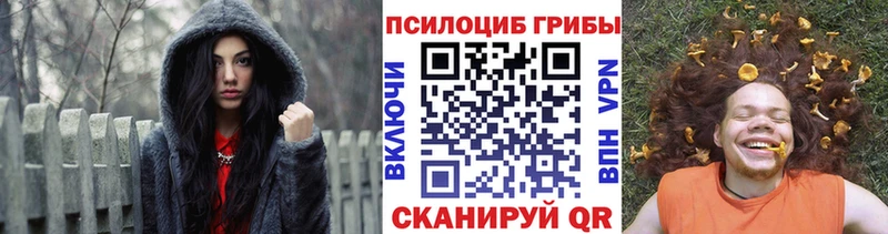 Псилоцибиновые грибы Psilocybine cubensis  цена наркотик  Санкт-Петербург 